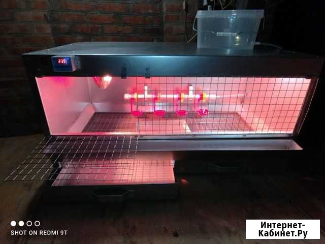Брудер для цыплят, утят, индюшат Тбилисская - изображение 1
