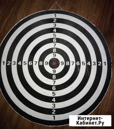 Дартс Петрозаводск - изображение 1
