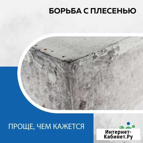 Уничтожение плесени Нефтекамск - изображение 1