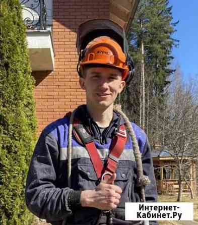 Спил деревьев,валка,обрезка (Арборист) Токсово