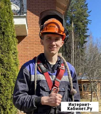 Спил деревьев,валка,обрезка (Арборист) Токсово - изображение 1