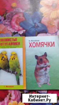 Хомячки. Волнистые попугайчики. Смоленск - изображение 1