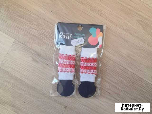 Одежда для собаки йорк Москва - изображение 1