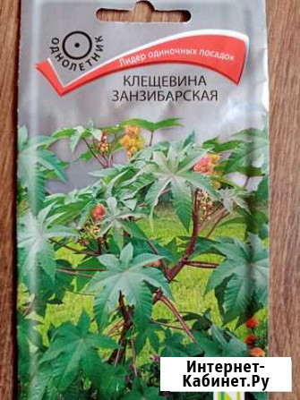 Клещевина Уфа - изображение 1