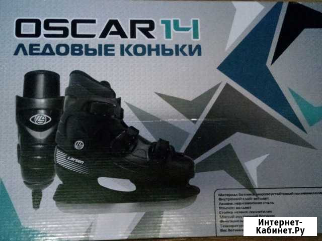 Коньки пластиковые Ларсен Тайшет - изображение 1