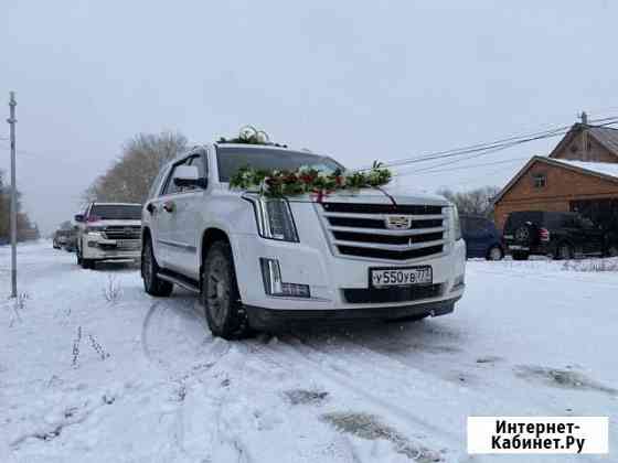 Аренда автомобили на свадьбу Стерлитамак