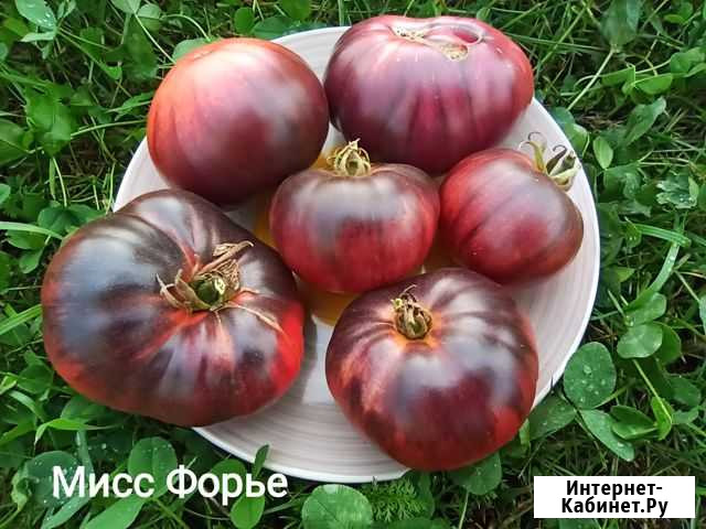 Семена томата сортовые (часть 1) Москва - изображение 1