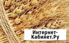 Продам зерно пшеницы в мешках Лаишево - изображение 1
