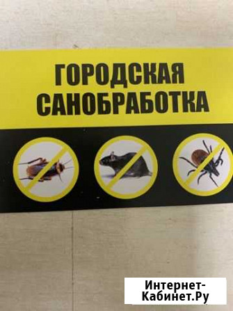Дезинсекция. Дератизация от всех видов насекомых Иваново - изображение 1
