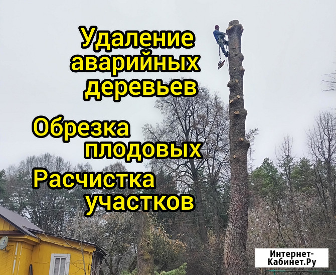 Спил деревьев, расчистка участка, обрезка плодовых деревьев Калуга - изображение 1