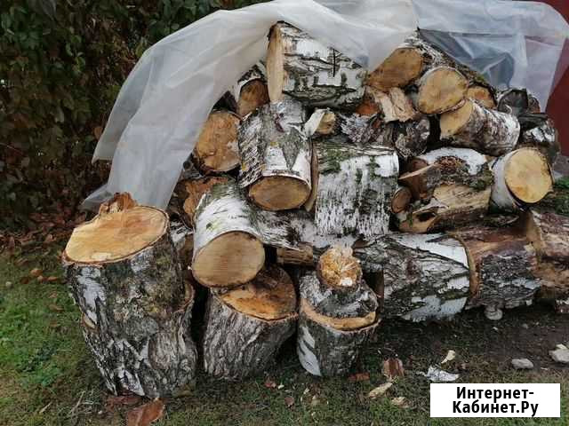 Дрова берёзовый, яблоня Липецк - изображение 1