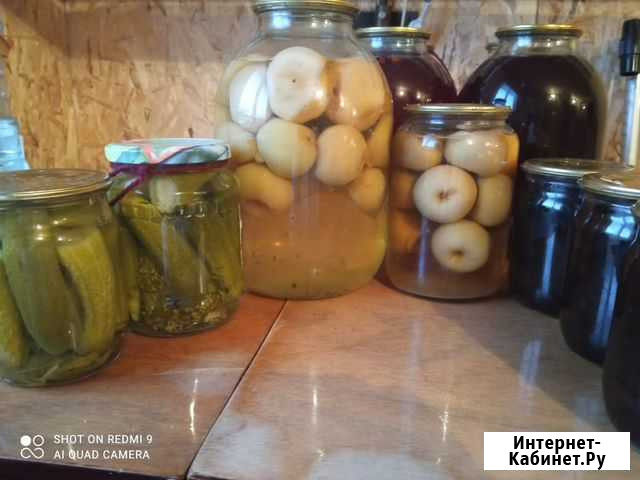 Домашние заготовки Боровичи - изображение 1