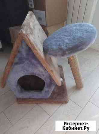 Домик для кошки Москва