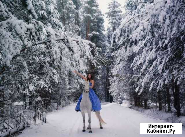 Конные прогулки на лошадях и пони Спирово - изображение 1