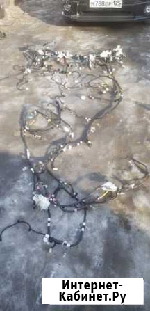 Коса салона Toyota Prius ZVW30 2ZR -FXE 2010 Владивосток - изображение 1