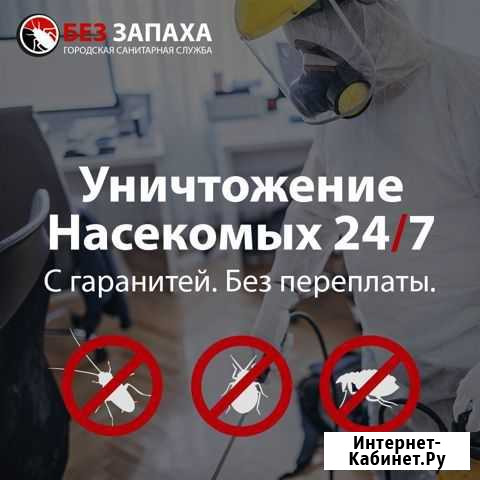 Городская санитарная служба без запаха Красноярск - изображение 1