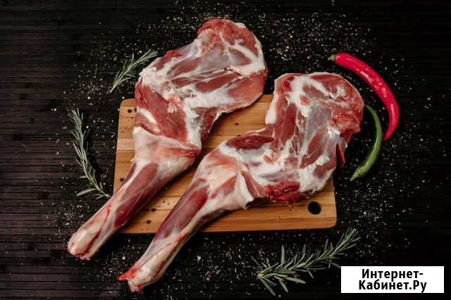 Продам домашних молодых барашков, или мясо. достав Курск - изображение 1