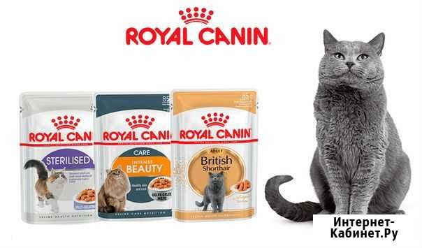 Корм Royal Canin(паучи) Мурманск - изображение 1