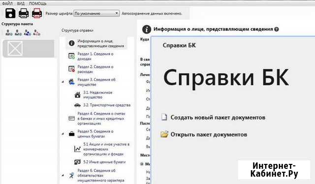 Заполнение справки бк, для госслужащих Ижевск - изображение 1