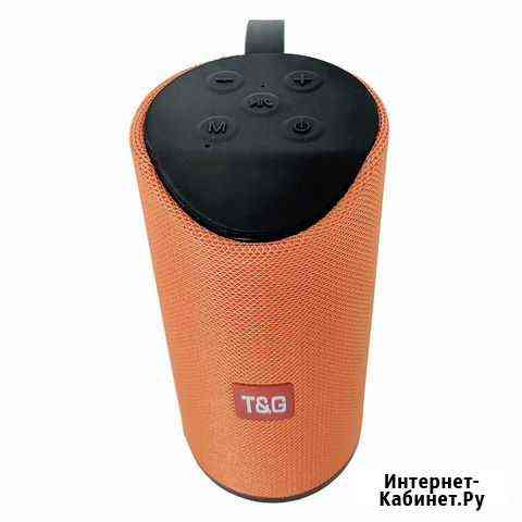 Колонка блютуз портативная T&G 113 Нальчик
