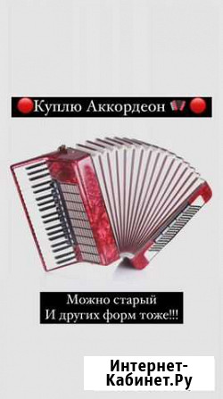 Аккордеон Нальчик - изображение 1