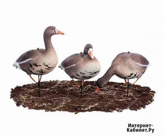 Чучела Белолобый гусь SoftPlast 3d 2021, 10шт Москва