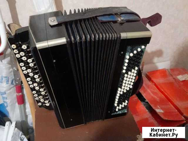 Баян тульский Рязань - изображение 1