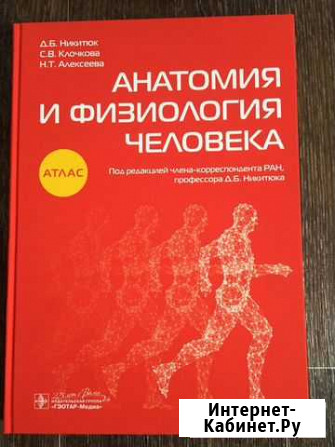 Анатомия и физиология человека Тверь - изображение 1