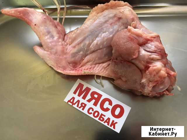 Мясо индейки на кости / мясо для собак Александров - изображение 1