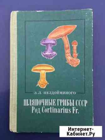 Шляпочные грибы СССР Саранск