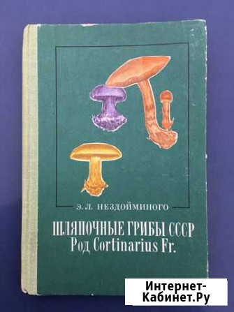 Шляпочные грибы СССР Саранск - изображение 1
