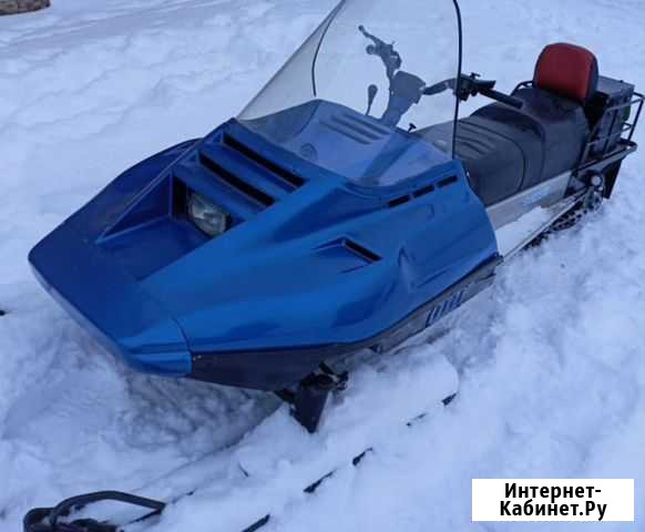 Снегоход Рысь-440 Торбеево - изображение 1