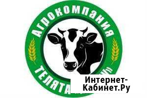 Теоята до 3х месяцев Туймазы - изображение 1