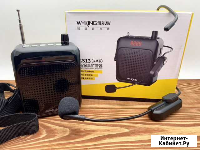 Портативная колонка караоке W-King KS13 Иркутск - изображение 1