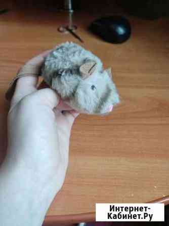 Мышка игрушка для кошки Златоуст