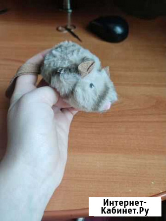 Мышка игрушка для кошки Златоуст - изображение 1
