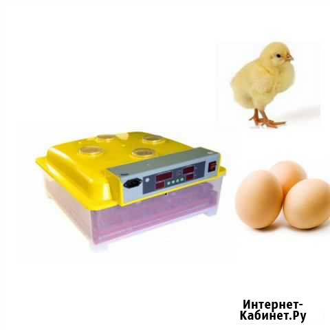 Новый инкубатор 36 яиц автоматический Казань - изображение 1
