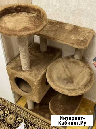 Кошачий домик Богучар - изображение 1