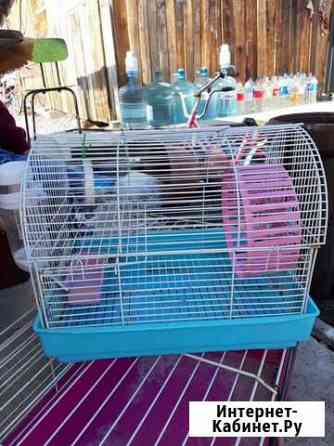 Клетка для хомячка Екатеринбург