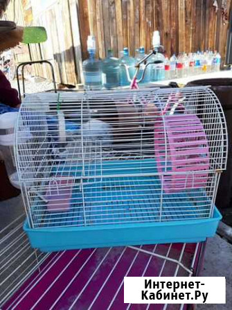 Клетка для хомячка Екатеринбург - изображение 1