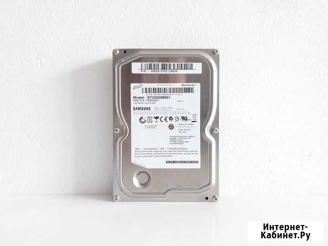 Жесткий диск Samsung 250GB Екатеринбург - изображение 1