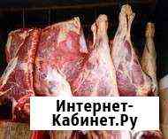 Молодое мясо конины Каменск-Уральский