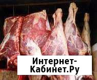 Молодое мясо конины Каменск-Уральский - изображение 1