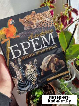 Книга Жизнь животных Биробиджан - изображение 1