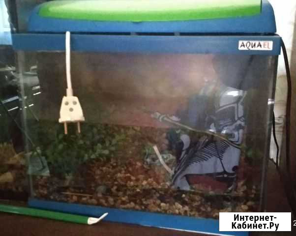 Аквариум Наволоки - изображение 1