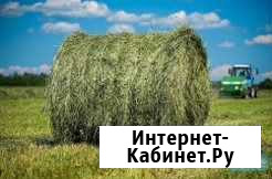 Сено Хомутово - изображение 1