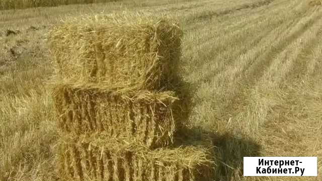 Солома в тюках Советская - изображение 1