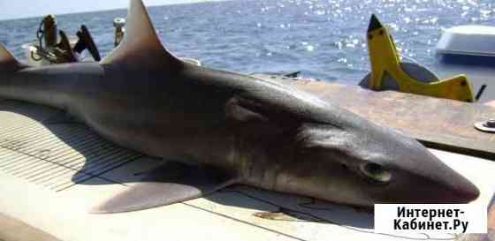 Картан опт Омск