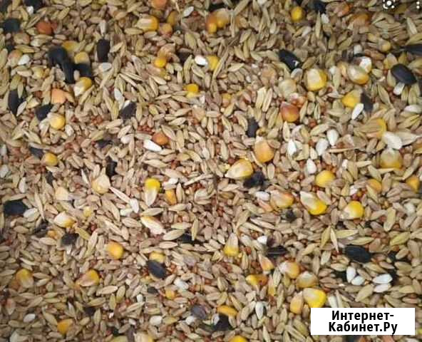 Зерносмесь Ивантеевка - изображение 1