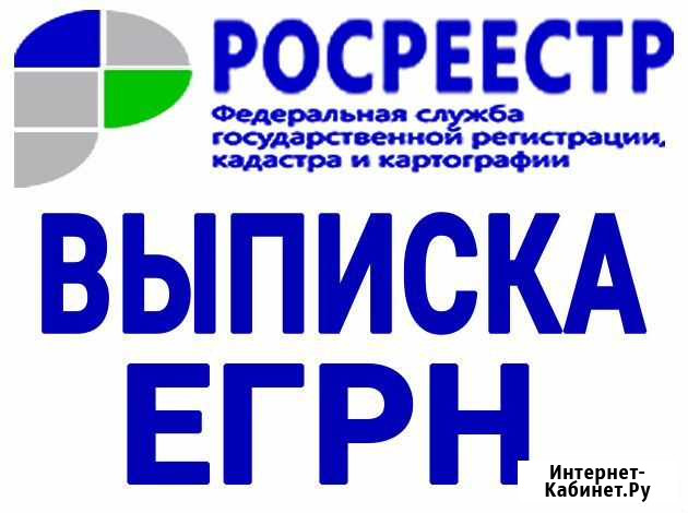 Выписка егрн (бывшая егрп) - 3часа + план помещени Санкт-Петербург - изображение 1
